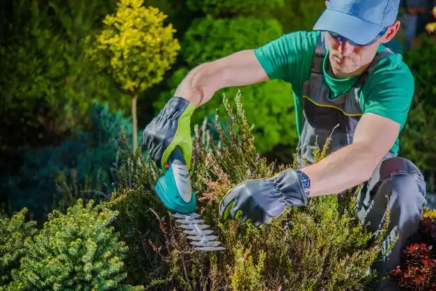 landscaping services Green Meadows